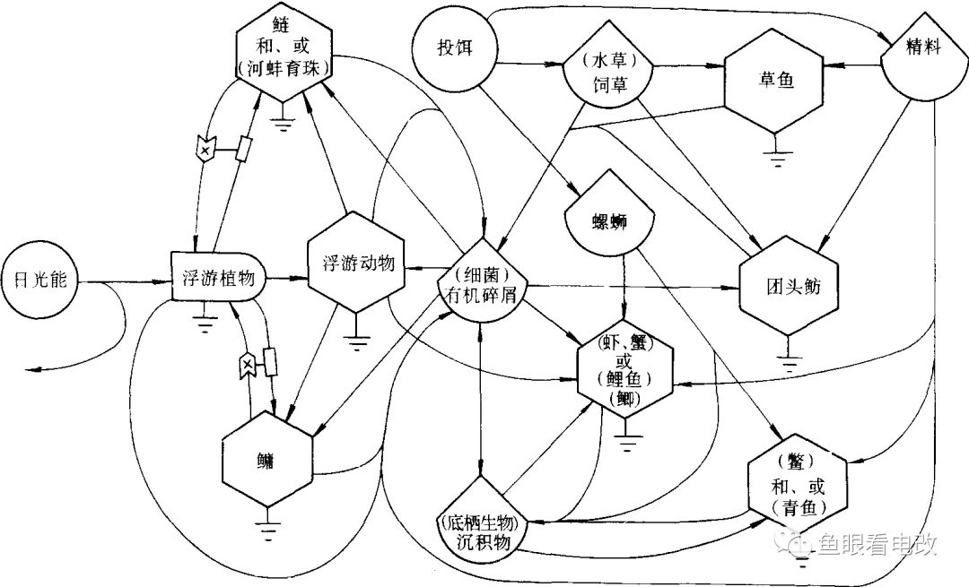 如下圖所示(池塘生態):心得一:生態系統是一個互為因果的複雜系統很多