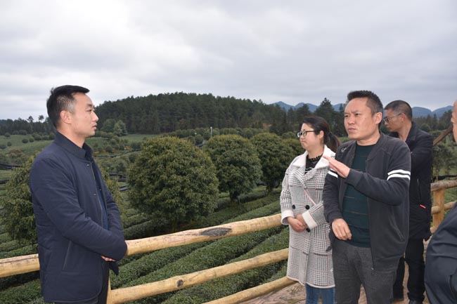 姑開鄉組建考察隊赴湄潭縣鳳岡縣考察茶葉產業發展