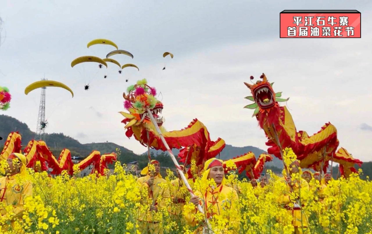 荆州江陵油菜花节图片