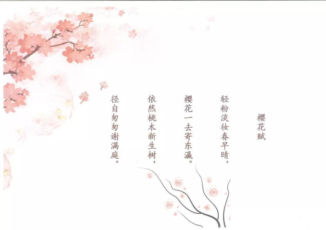 樱花花语唯美句子图片