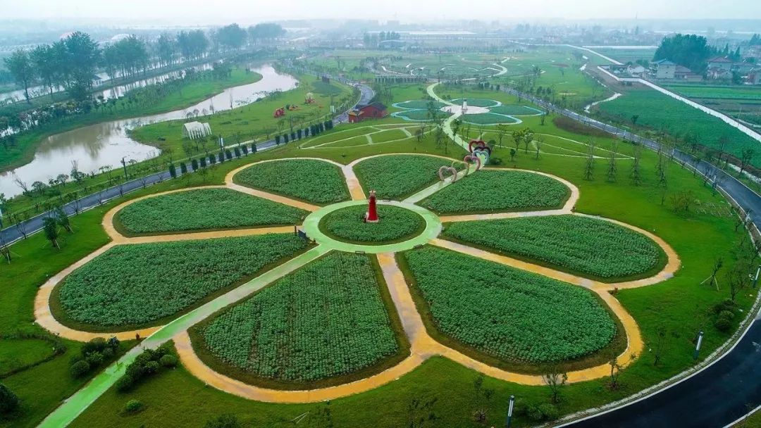 南京八卦洲洲头公园图片