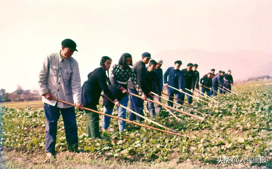 人民公社的老照片图片