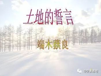 地皮
誓言为题的诗歌（地皮
誓言为题的诗歌是什么）《地皮意思》