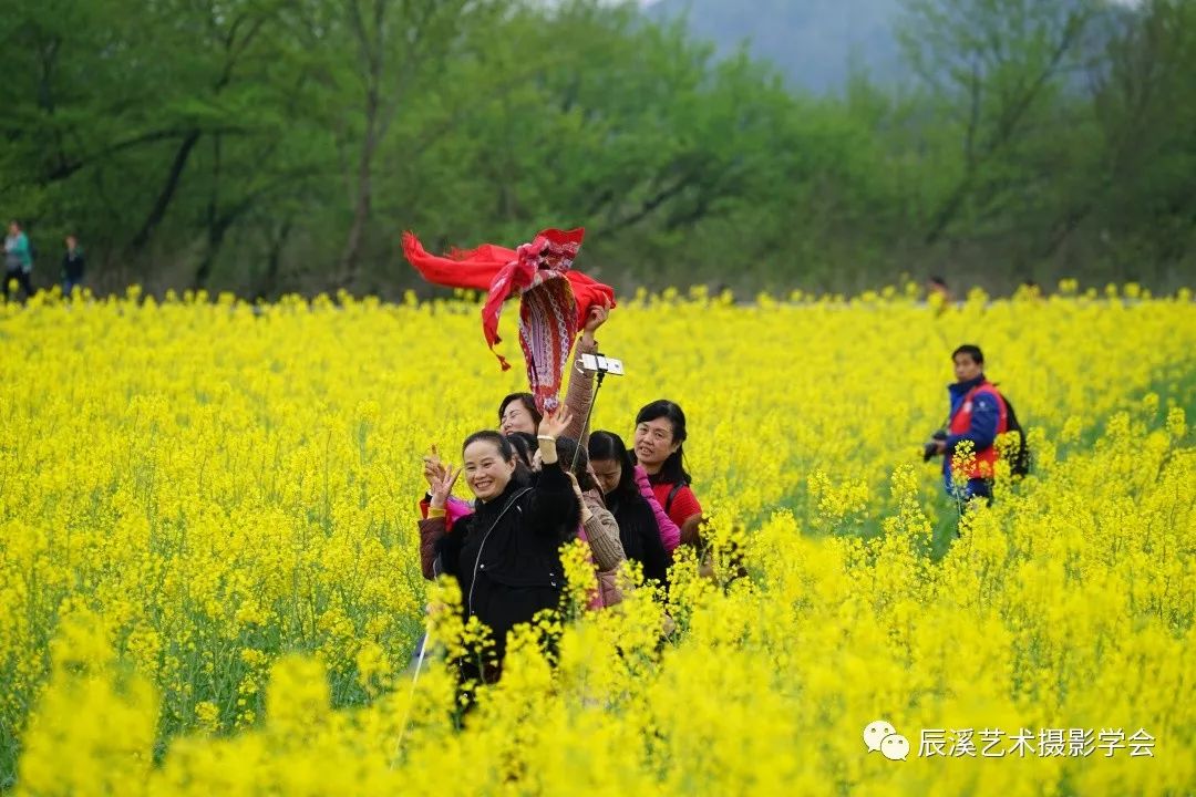 油菜花节趣味活动图片