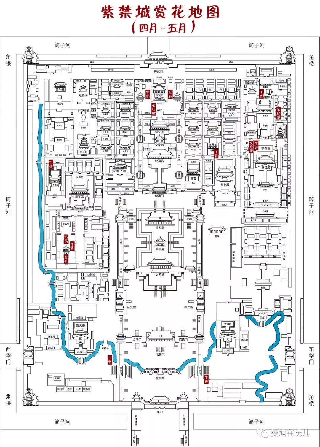 紫禁城赏花地图——春篇(下)