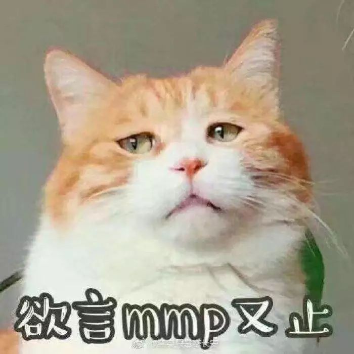 估计张雨绮心里有一万句mmp叭…现在袁巴元已经进入了不被cue都要主动