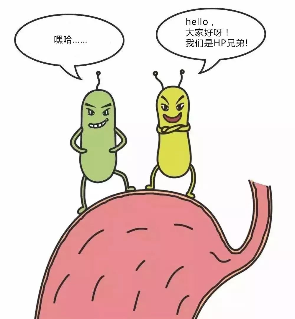 幽门螺杆菌卡通图片图片
