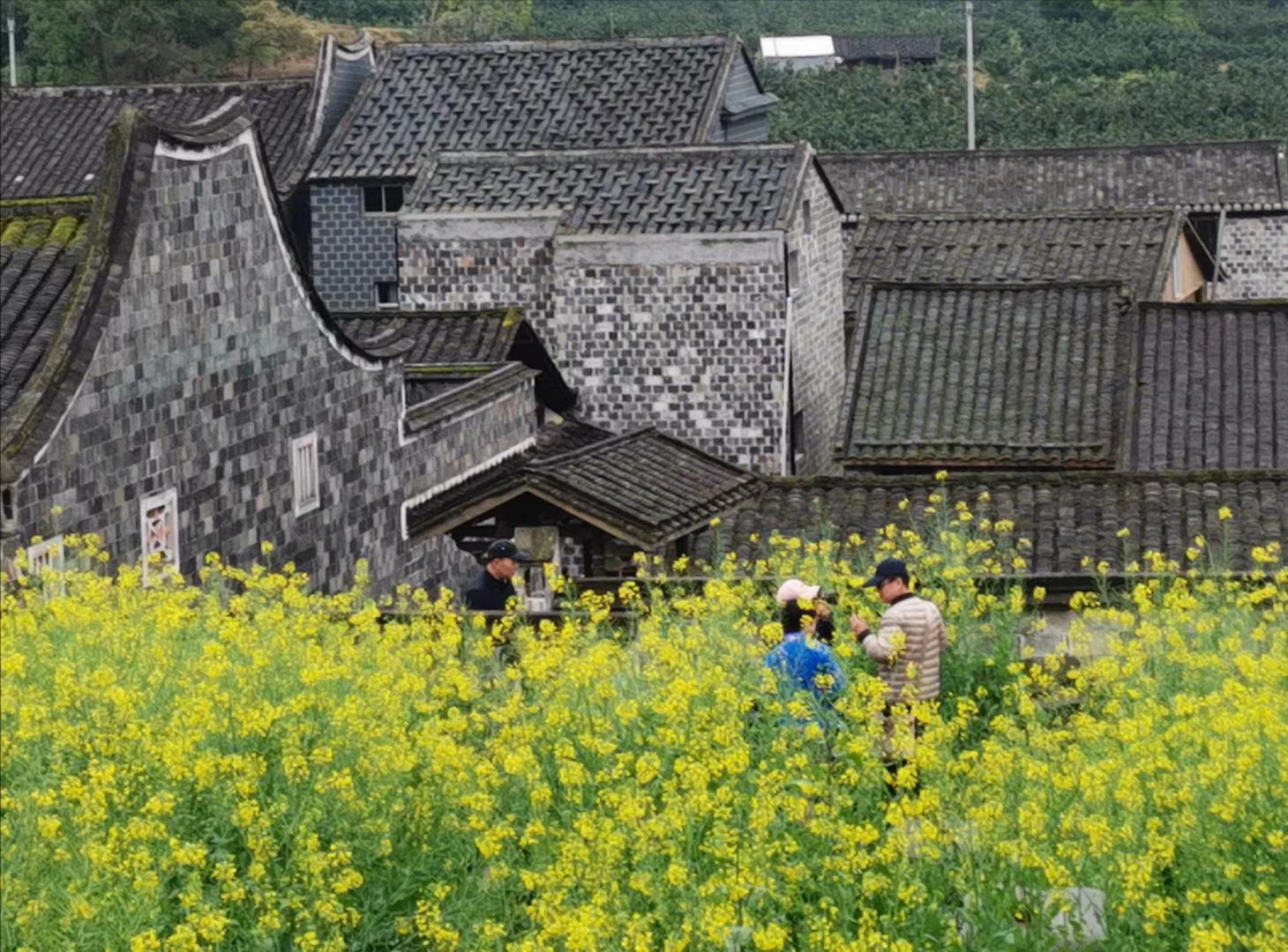 半月山畲族古村图片