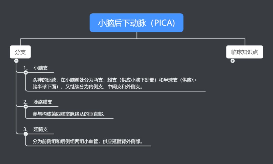 分支及相關臨床知識點小腦後下動脈的分段,5椎動脈的分支4椎動脈的