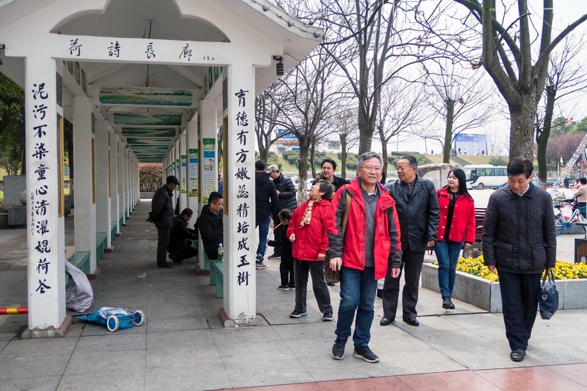 洪山区老年大学图片