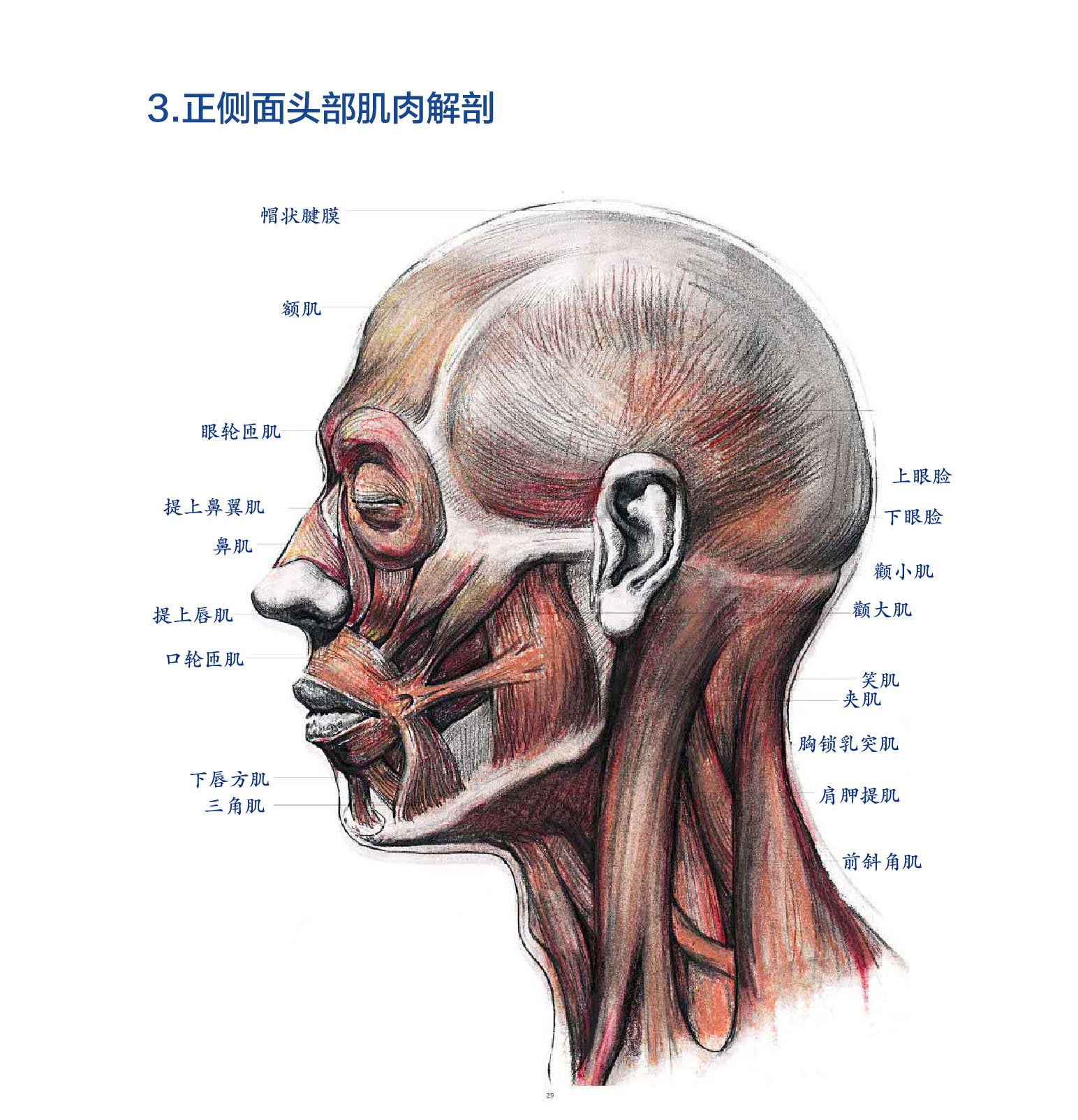 学习素描之前