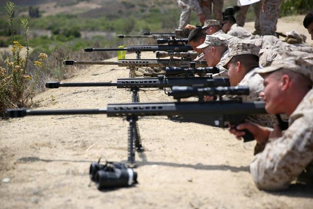 美国半自动狙击步枪图片