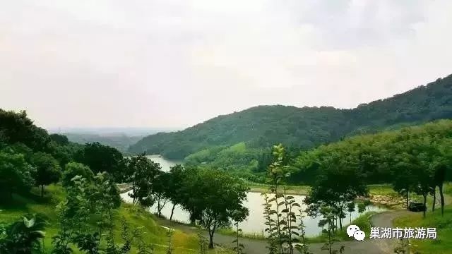 2019醉美巢湖赏花季系列活动报道之二庙岗第四届山寺桃花暨尖山湖油菜