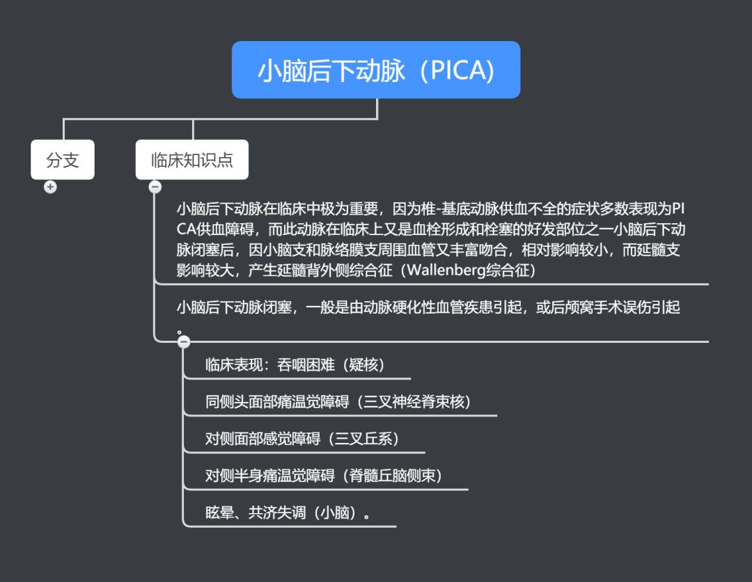 腦血管解剖思維導圖第二彈,來了!滿滿的都是乾貨!_動脈