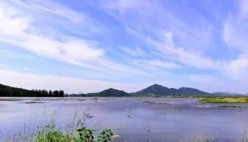 苏州白荡湖图片