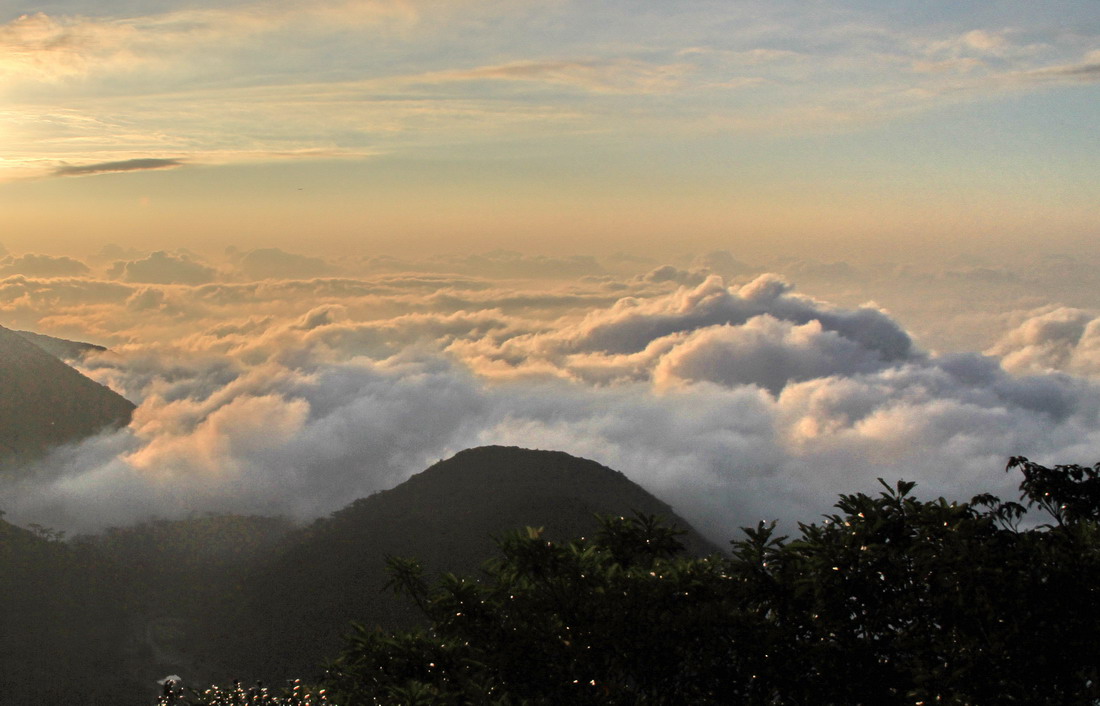 雲海夕照齊出動　陽明山也有秘境級美景 旅遊 第1張