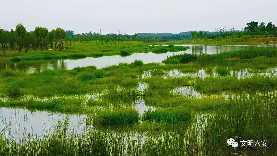 安徽觀察:最美大別山溼地公園,看一眼就