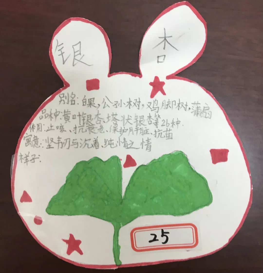 幼儿园植物园班牌制作图片