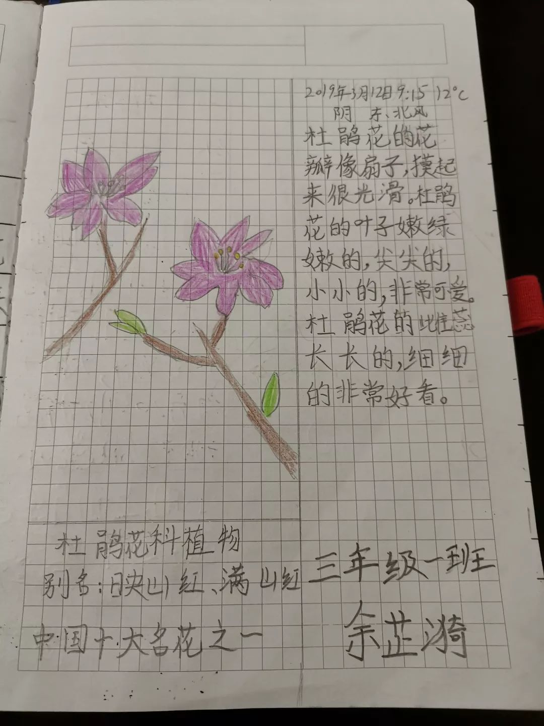 雨的详细自然笔记图片