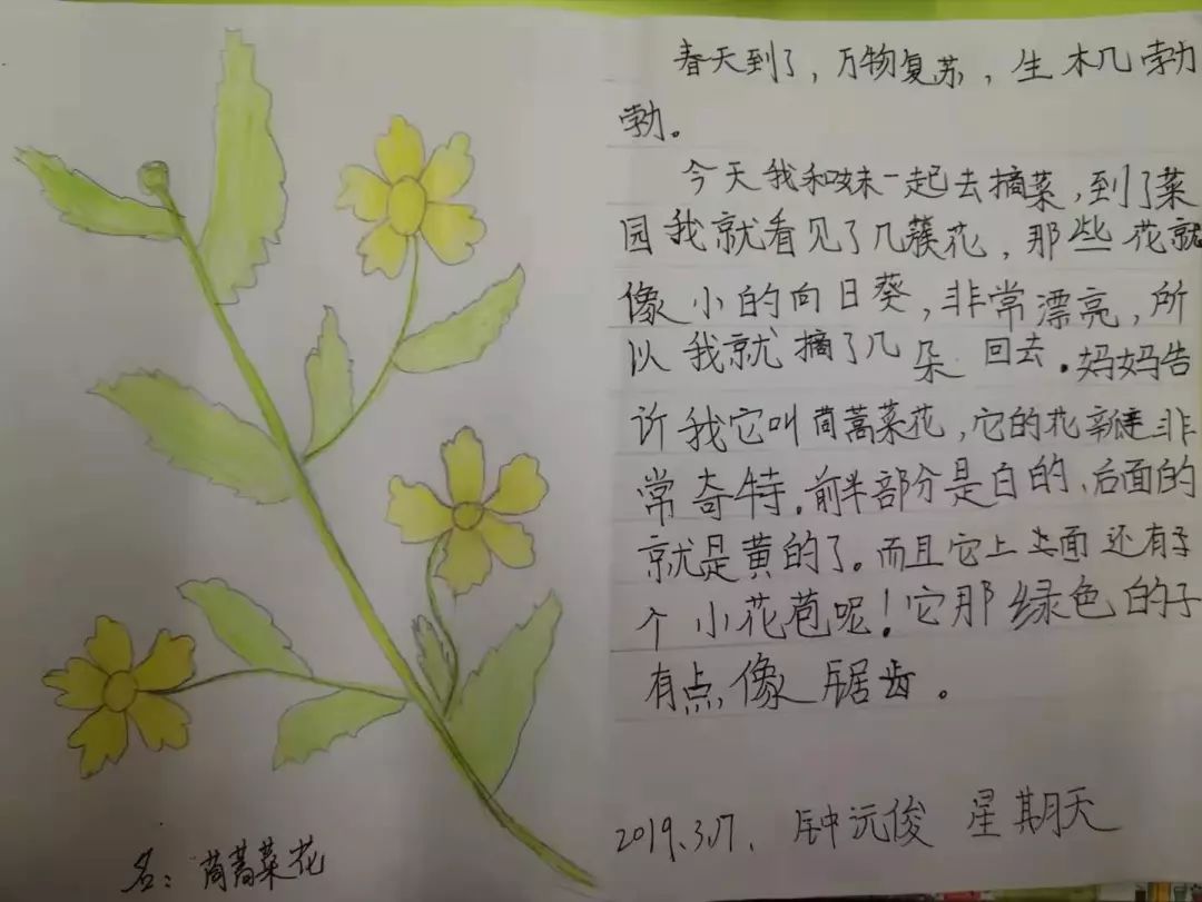 投票自然笔记征集你遇见的惊蛰春分4668号作品