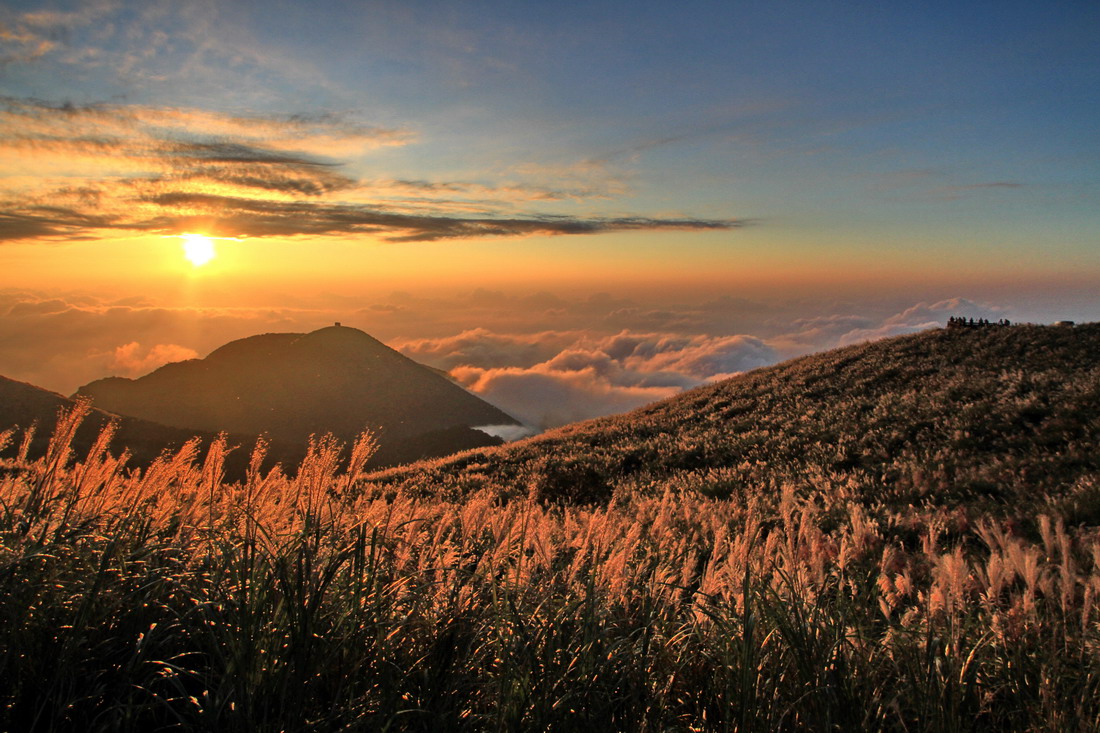 雲海夕照齊出動　陽明山也有秘境級美景 旅遊 第5張