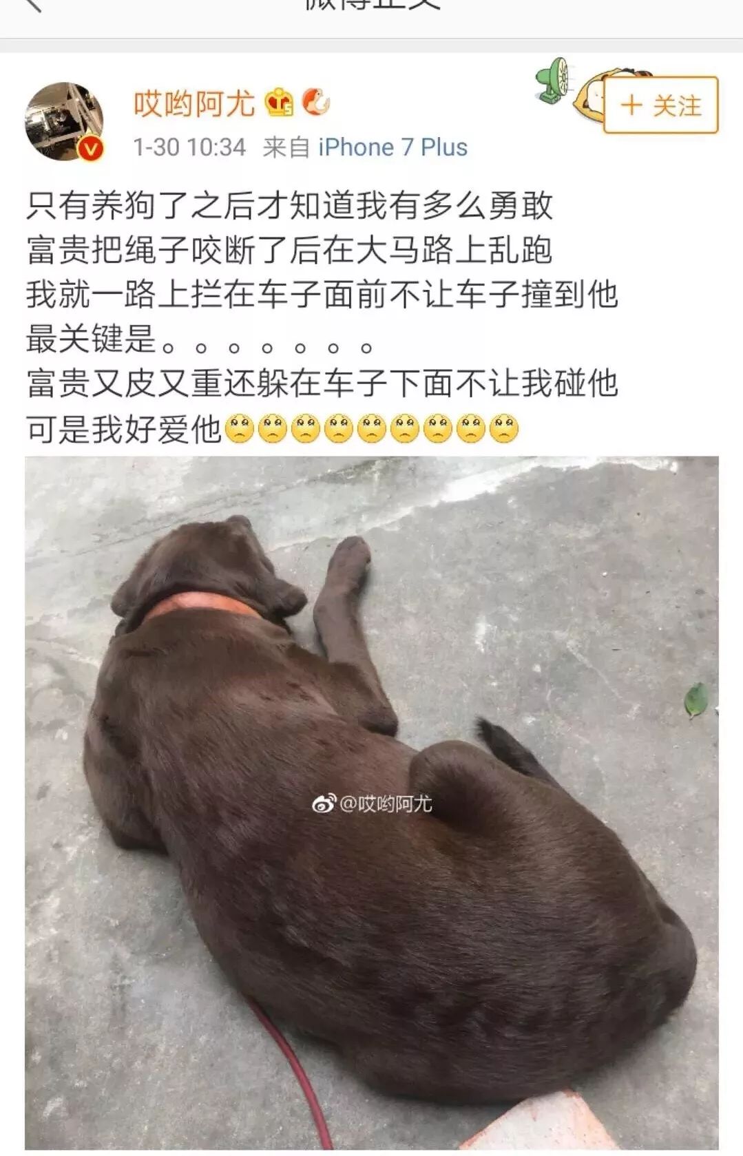 发腐肉车图片图片