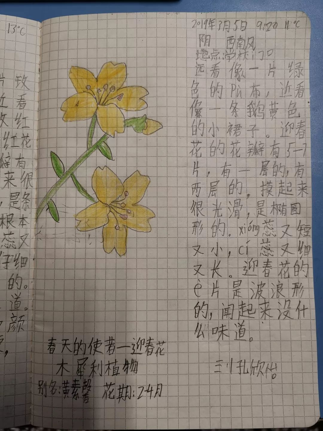 投票自然笔记征集你遇见的惊蛰春分6986号作品