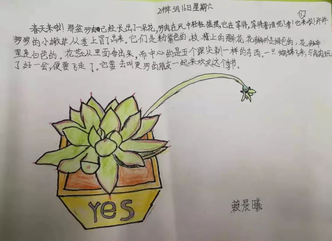 投票自然笔记征集你遇见的惊蛰春分4668号作品