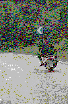 摩托车动态图片 搞笑图片