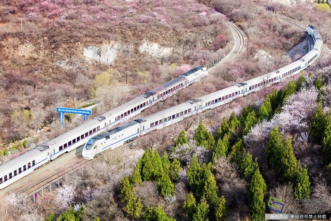 邂逅居庸關花海和列車都挺好