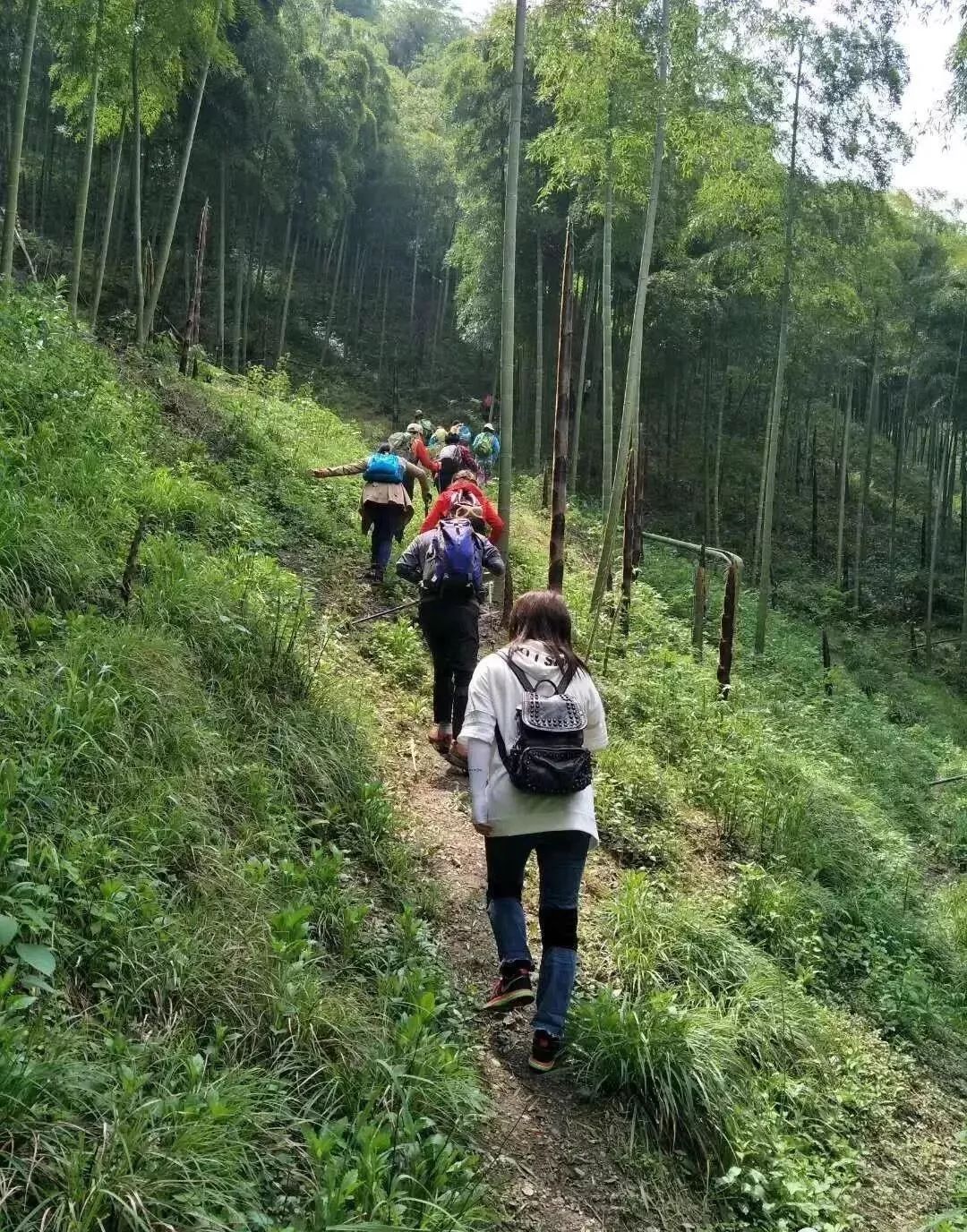 溧阳松岭古道徒步图片