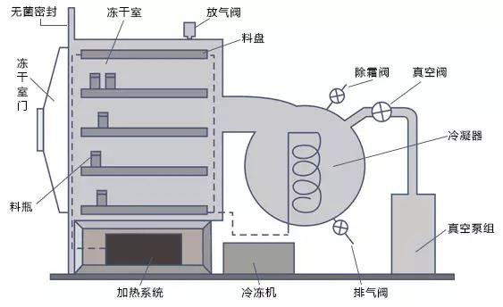 冻干机示意图图片