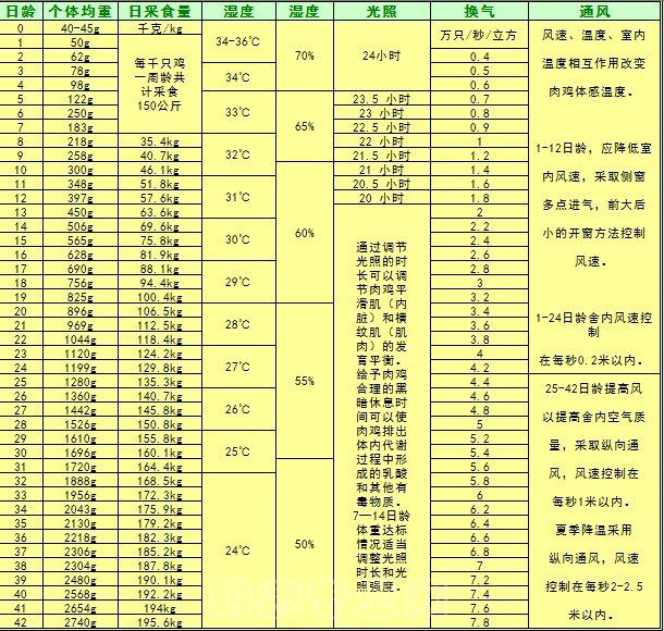 白羽肉鸡日龄体重表