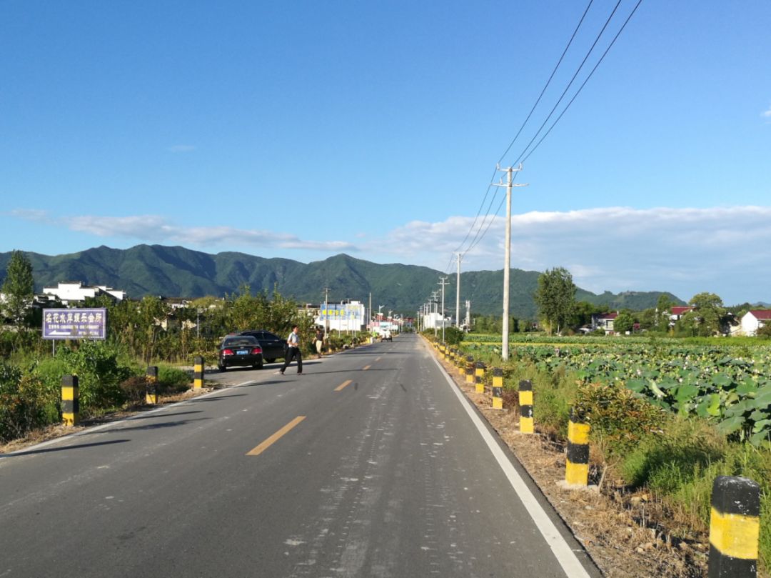 金荊路(縣級暢通工程)▲旌德縣鳧陽嶺村路(撤併建制村項目)▲旌德縣馬