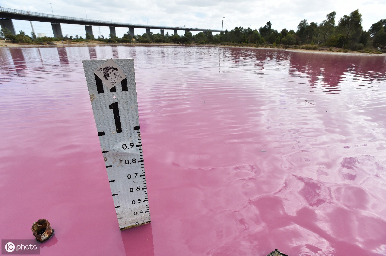 澳大利亚粉色盐湖 - 知乎