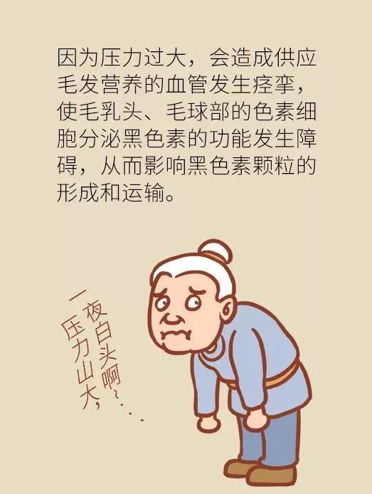 快试试专家这个小妙招!_漫画