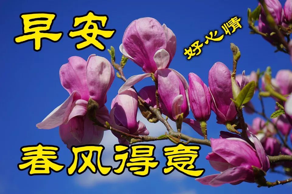 3月朋友圈好看的早晨好祝福语图片动图早上好问候图片表情