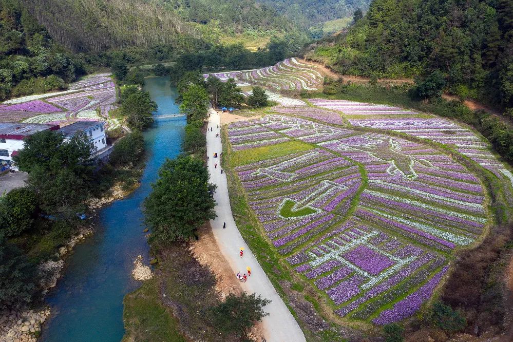 生态旅游资源丰富而独特,是德保县乡村生态旅游的绝佳胜地,也是那温村