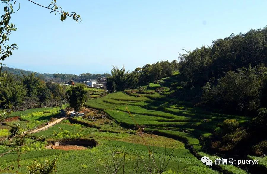 "仙人洞"山下就是大芦山村,隶属普洱市思茅区的云仙乡.