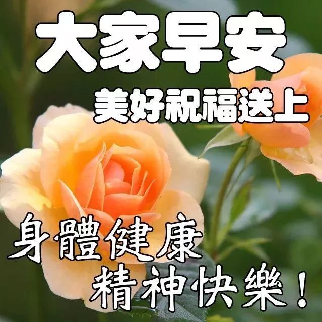 早上好祝福语图片早春三月早晨问候表情包大合集