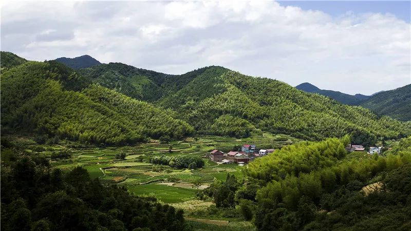 柏社乡地处兰溪市东北部,生态极好,自然环境清幽,境内山地资源丰富.