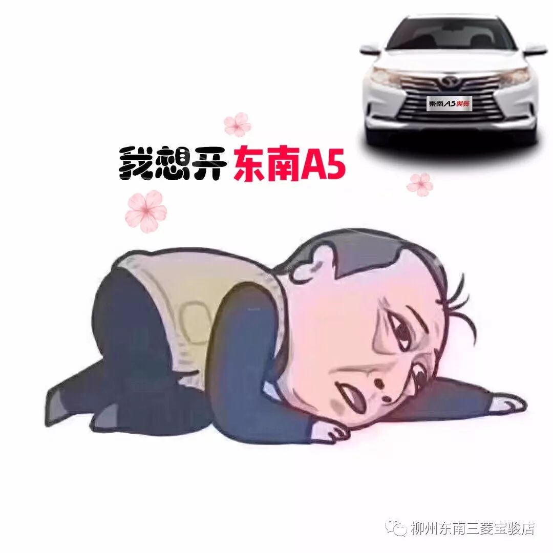 苏大强买车记正在热播