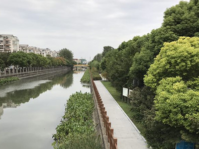 上海淀浦河景观步道图片