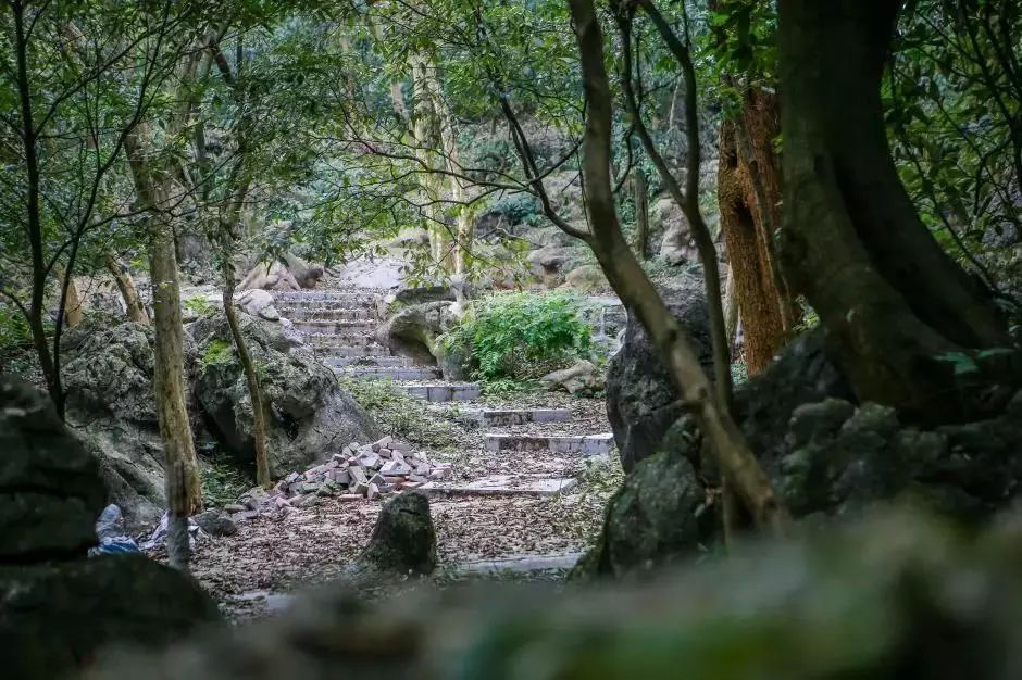 賀州這個村子要火!_富川