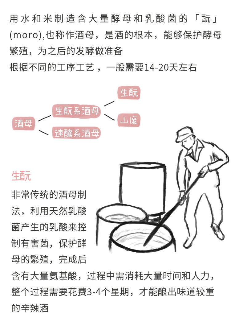 清香型白酒工艺流程图片