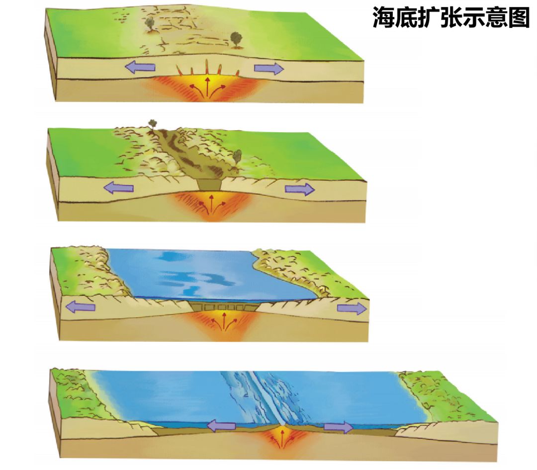 板块构造学说海底扩张学说解释了洋底在水平方向上的运动,而珠穆朗玛