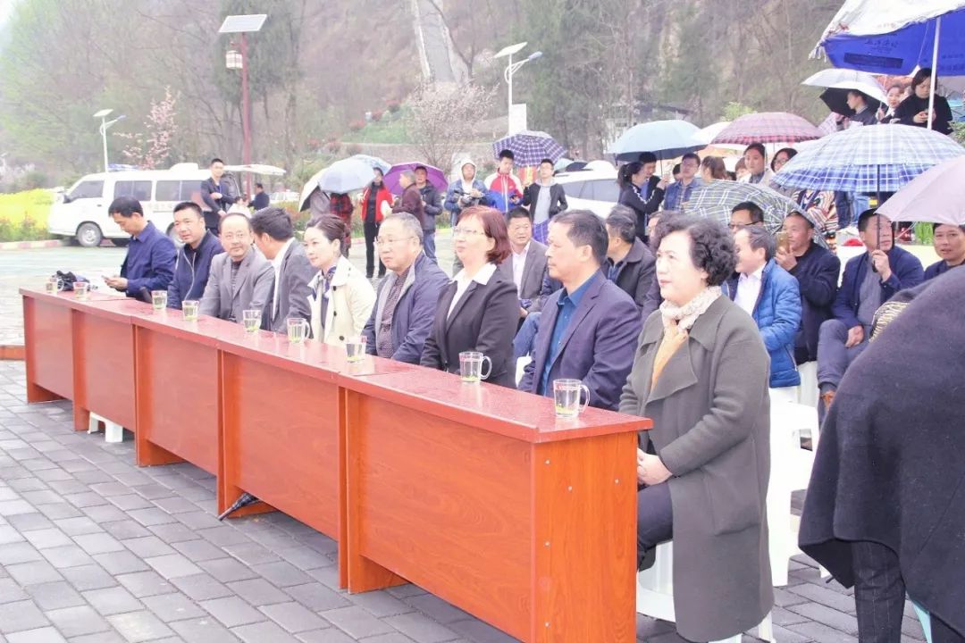 田晓敏勉县图片