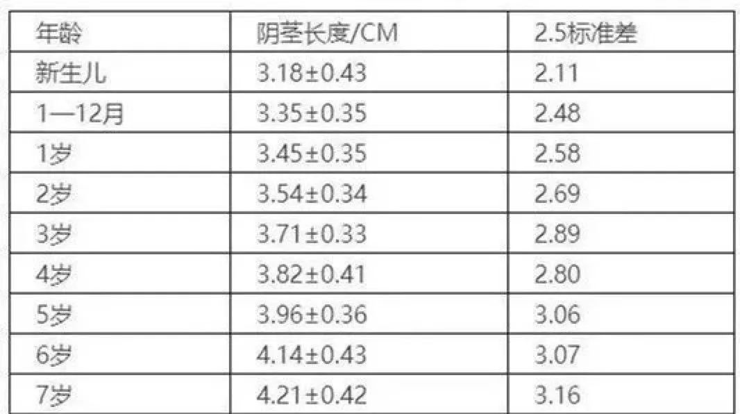 JJ长度正常图片