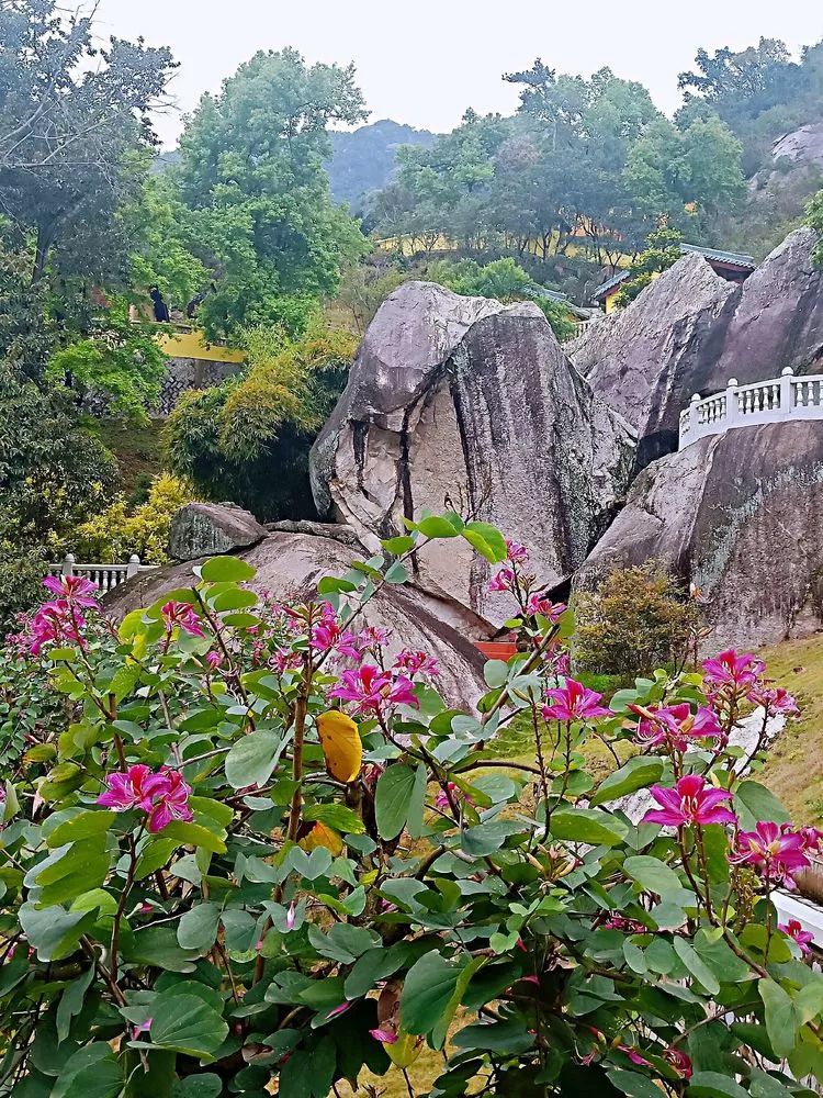 现在才知道同安莲花山上有古迹可一览同安城胜景