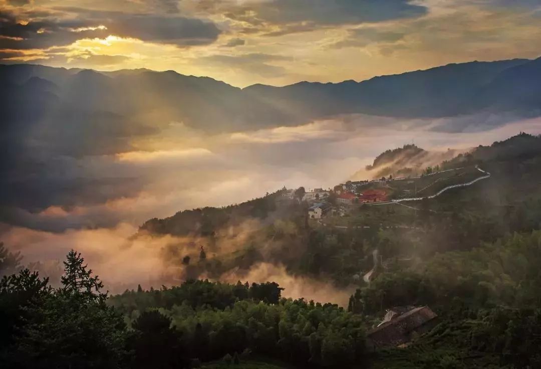 他就是環敕木山公路,從景寧縣城出發,從澄照鄉,進入草魚塘森林公園,至